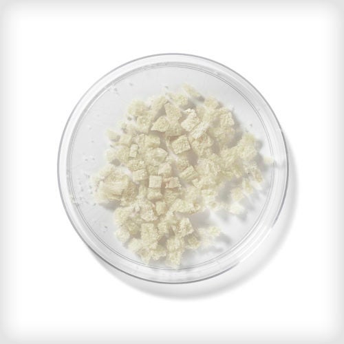 Cancellous Chips